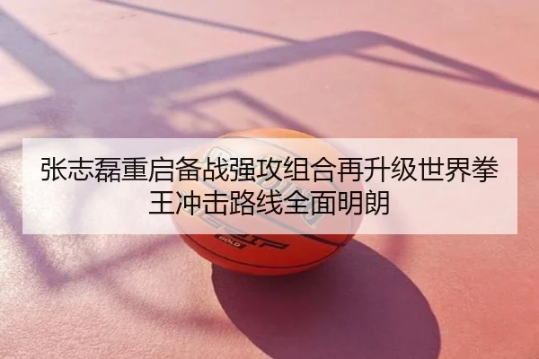 张志磊重启备战强攻组合再升级世界拳王冲击路线全面明朗
